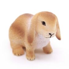 Dwarf lop bunny for sale  West Chester