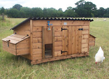 Extra large poultry for sale  LAMPETER
