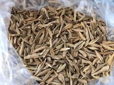 200 semillas de LOROCO Fernaldia pandurata para PUPUSAS, tamales comprar usado  Enviando para Brazil
