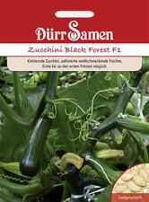 Zucchini black forest gebraucht kaufen  Pulheim
