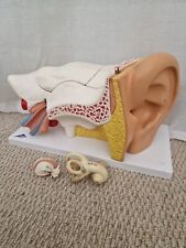 Vintage ear educational for sale  ST. ALBANS