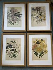 Floral framed prints for sale  DARTFORD
