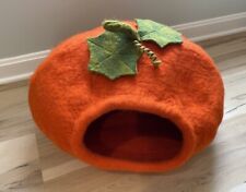 Karma cat pumpkin for sale  Winchester