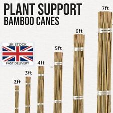 Bamboo garden canes for sale  Shipping to Ireland