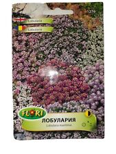 Usado, Lobularia Maritima Mix Cores Alyssum Lindo Jardim Hardy 500 Sementes De Flores 1276 comprar usado  Enviando para Brazil