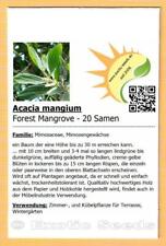 Acacia mangium forest gebraucht kaufen  Dresden