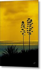 Ocean sunset agave for sale  Irvine