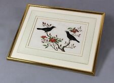 1860 myna birds for sale  ASCOT