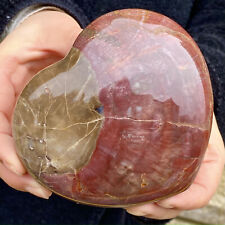 1.34lb crystal petrified for sale  Shipping to Ireland