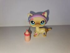 Littlest Pet Shop Authentic # 816 Kot krótkowłosy na sprzedaż  PL