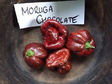 Trinidad moruga scorpion for sale  Shipping to Ireland