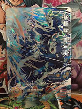 Cartão SDBH Son Gohan UM7-SEC2 Super Dragon Ball Heroes em perfeito estado comprar usado  Enviando para Brazil