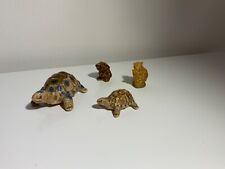 Wade two tortoises for sale  BURGESS HILL