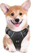 Heele dog harness for sale  Ireland
