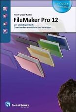 Filemaker pro grundlagenbuch gebraucht kaufen  Berlin