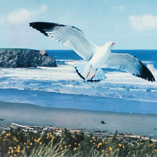 Bandon Beach Sea Gull Postcard 1970s Oregon Table Rock Yellow Gorse Art OR B1157 for sale  Shipping to South Africa
