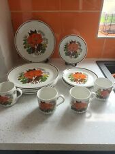 Vintage St Michaels Poppy Dinner Set for sale  Shipping to South Africa