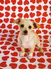 UNIGRAF  Postcard  ** Chihuahua   Puppy  *  POSTKARTE  #  2 comprar usado  Enviando para Brazil