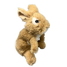 Toffifee ryxgreen kaninchen gebraucht kaufen  Witten-Herbede
