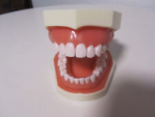 Zahnmodell abnehmbare zähne gebraucht kaufen  Garching b.München