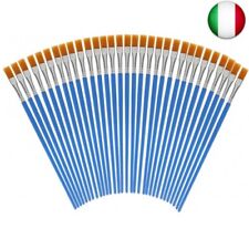 Set pennelli pittura usato  Settimo Milanese