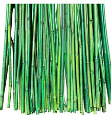 Bamboo stakes 36inches d'occasion  Expédié en Belgium