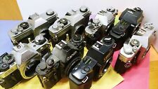 Canon camera bodies for sale  Bonham