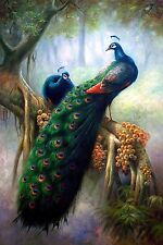 CHPT07 100% hand painted peacock Oil Painting modern Wall Decor art on Canvas for sale  Shipping to Canada