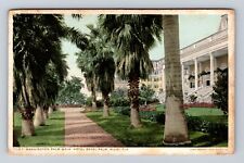 Cartão postal antigo vintage Miami FL-Florida, Hotel Royal Palm, passarela forrada de palmeiras comprar usado  Enviando para Brazil