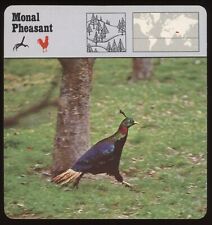 Monal pheasant safari for sale  Waupun