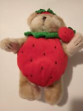 Hugfun strawberry bear for sale  Springfield