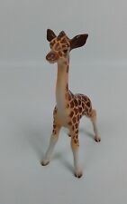 Berwick baby giraffe for sale  HEREFORD