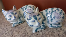 China cats flower for sale  STRATHPEFFER