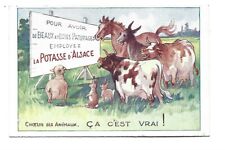 Illustration choeur animaux d'occasion  Toulon-