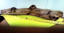 Driftwood inches long for sale  Brookwood