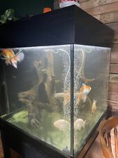 Fish tank aquarium for sale  HARROW