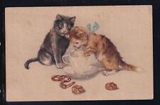 Cartolina gattini con usato  Italia