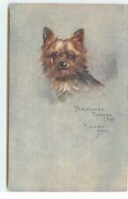 Yorkshire terrier maud d'occasion  Igny