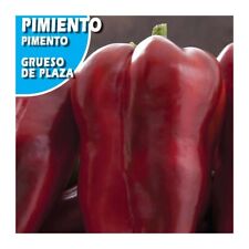 Usado, Pimiento Rojo Grueso de Plaza  ( 1000 semillas ) seeds  segunda mano  Embacar hacia Argentina