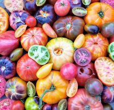 Heirloom tomato seed for sale  Bothell