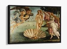 Sandro botticelli birth for sale  LONDONDERRY