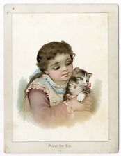 Kitten little girl for sale  Hemet