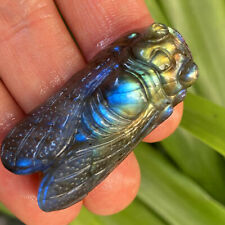Natural Labradorite Quartz Hand Carved Golden cicada Skull Crystal  Healing 1pc, used for sale  Shipping to Canada
