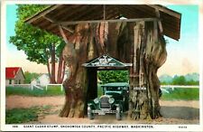 cedar stump for sale  Bremerton