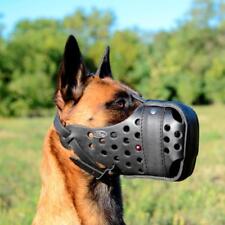 Belgian malinois muzzle d'occasion  Expédié en Belgium