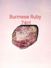 Rough unheated burmese for sale  Glendale