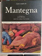 Book libro mantegna usato  Pordenone