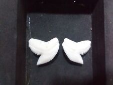 Tiger shark teeth for sale  North Fort Myers