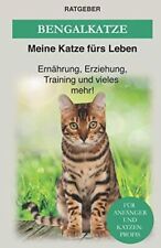 Bengal katze bengalkatzen gebraucht kaufen  Berlin