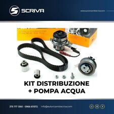 Kit distribuzione golf usato  Taurianova